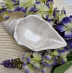 Shell Ring Holder