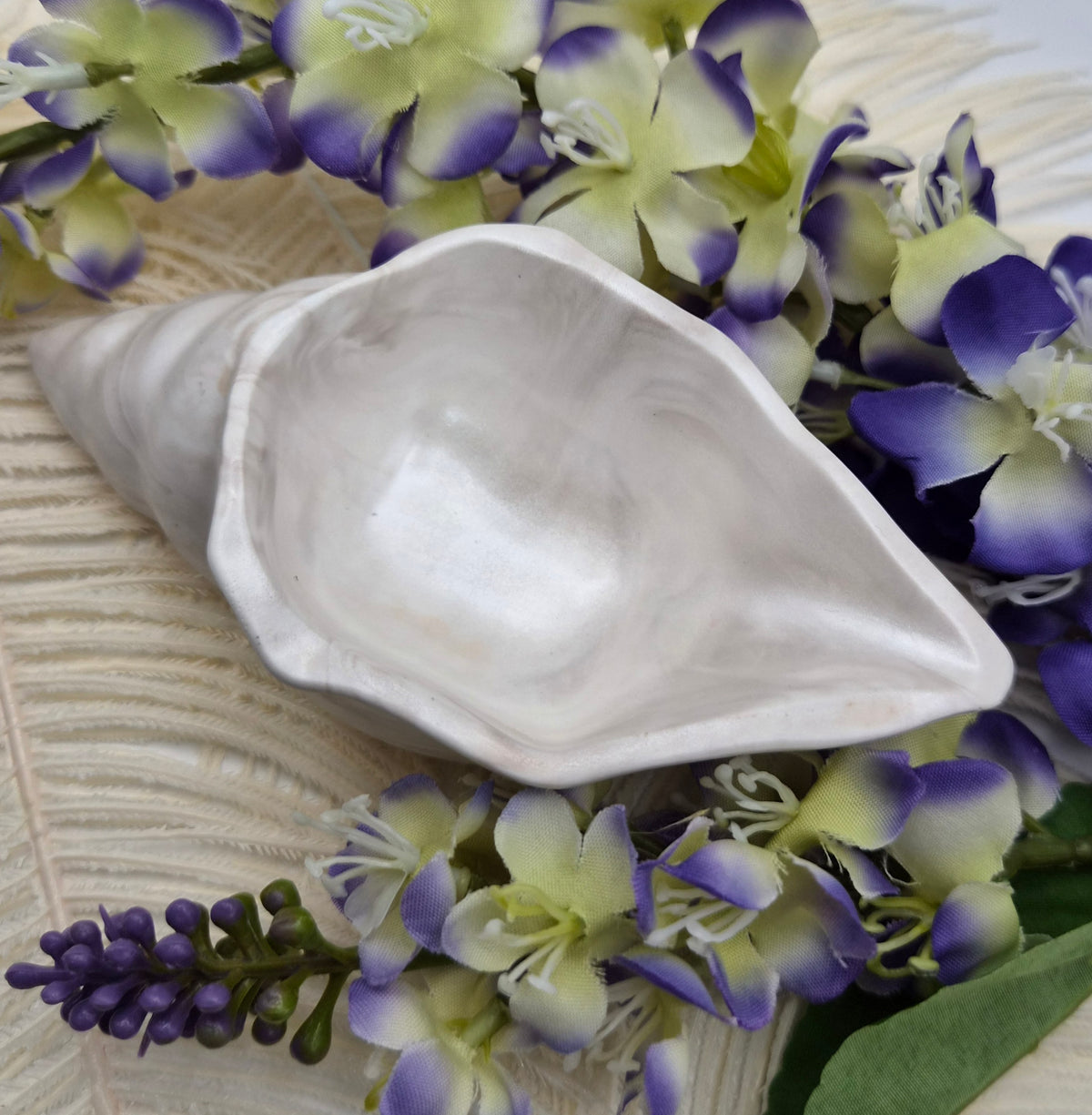 Shell Ring Holder