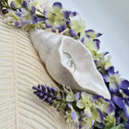 Shell Ring Holder